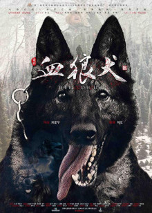 美食心计[2021]